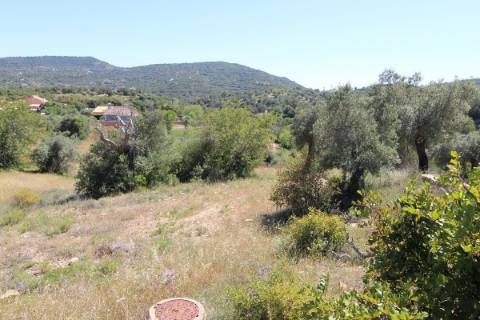 Terreno rústico em São Brás de Alportel