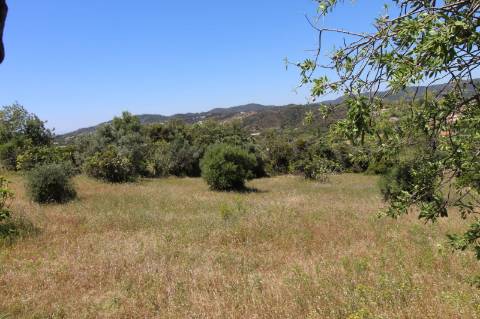 Terreno rústico em São Brás de Alportel