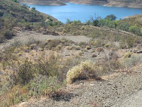 TERRENO COM 52.840 M2 - POSSIBILIDADE DE CONSTRUIR UM PEQUENO ARMAZEM - BARRAGEM DE ODELEITE - CASTRO MARIM -ALGARVE