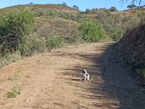 TERRENO COM 52.840 M2 - POSSIBILIDADE DE CONSTRUIR UM PEQUENO ARMAZEM - BARRAGEM DE ODELEITE - CASTRO MARIM -ALGARVE