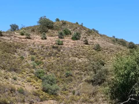 TERRENO COM 52.840 M2 - POSSIBILIDADE DE CONSTRUIR UM PEQUENO ARMAZEM - BARRAGEM DE ODELEITE - CASTRO MARIM -ALGARVE