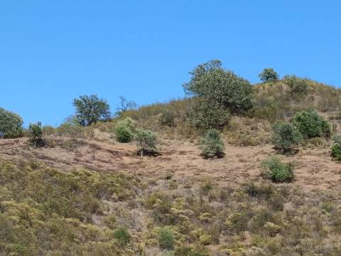 TERRENO COM 52.840 M2 - POSSIBILIDADE DE CONSTRUIR UM PEQUENO ARMAZEM - BARRAGEM DE ODELEITE - CASTRO MARIM -ALGARVE