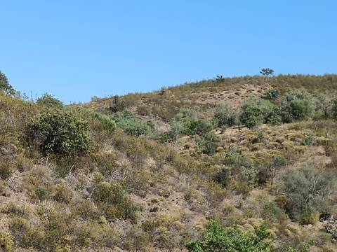 TERRENO COM 52.840 M2 - POSSIBILIDADE DE CONSTRUIR UM PEQUENO ARMAZEM - BARRAGEM DE ODELEITE - CASTRO MARIM -ALGARVE