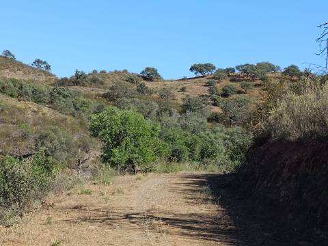 TERRENO COM 52.840 M2 - POSSIBILIDADE DE CONSTRUIR UM PEQUENO ARMAZEM - BARRAGEM DE ODELEITE - CASTRO MARIM -ALGARVE
