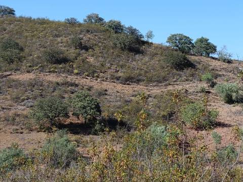 TERRENO COM 52.840 M2 - POSSIBILIDADE DE CONSTRUIR UM PEQUENO ARMAZEM - BARRAGEM DE ODELEITE - CASTRO MARIM -ALGARVE