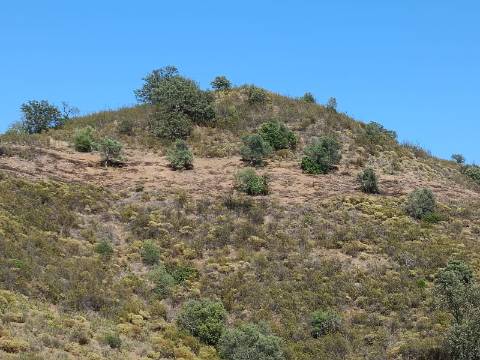 TERRENO COM 52.840 M2 - POSSIBILIDADE DE CONSTRUIR UM PEQUENO ARMAZEM - BARRAGEM DE ODELEITE - CASTRO MARIM -ALGARVE