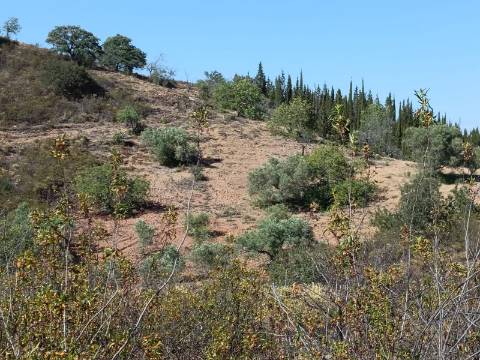 TERRENO COM 52.840 M2 - POSSIBILIDADE DE CONSTRUIR UM PEQUENO ARMAZEM - BARRAGEM DE ODELEITE - CASTRO MARIM -ALGARVE