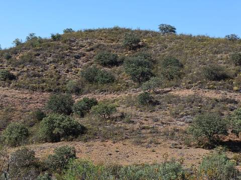 TERRENO COM 52.840 M2 - POSSIBILIDADE DE CONSTRUIR UM PEQUENO ARMAZEM - BARRAGEM DE ODELEITE - CASTRO MARIM -ALGARVE