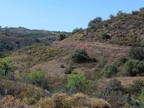 TERRENO COM 52.840 M2 - POSSIBILIDADE DE CONSTRUIR UM PEQUENO ARMAZEM - BARRAGEM DE ODELEITE - CASTRO MARIM -ALGARVE