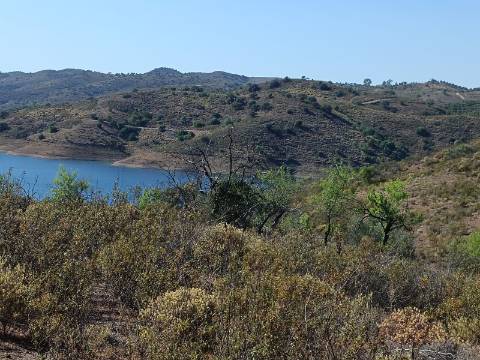 TERRENO COM 52.840 M2 - POSSIBILIDADE DE CONSTRUIR UM PEQUENO ARMAZEM - BARRAGEM DE ODELEITE - CASTRO MARIM -ALGARVE