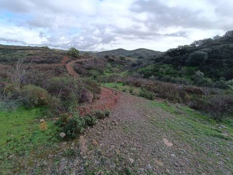 TERRENO COM 59.520 M2 - COM POSSIBILIDADE DE CONSTRUIR - MORADIA - TURISMO - BOTELHAS EM CASTRO MARIM - ALGARVE