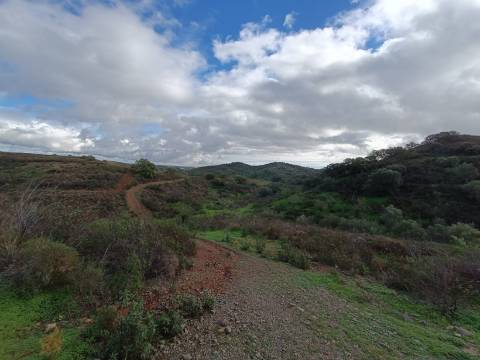 TERRENO COM 59.520 M2 - COM POSSIBILIDADE DE CONSTRUIR - MORADIA - TURISMO - BOTELHAS EM CASTRO MARIM - ALGARVE