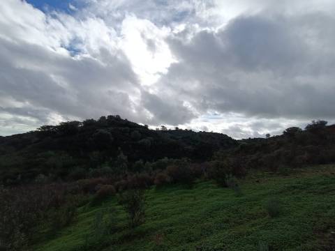 TERRENO COM 59.520 M2 - COM POSSIBILIDADE DE CONSTRUIR - MORADIA - TURISMO - BOTELHAS EM CASTRO MARIM - ALGARVE