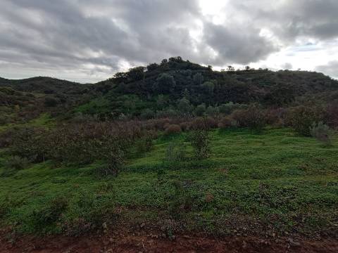 TERRENO COM 59.520 M2 - COM POSSIBILIDADE DE CONSTRUIR - MORADIA - TURISMO - BOTELHAS EM CASTRO MARIM - ALGARVE