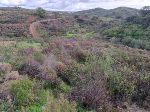 TERRENO COM 59.520 M2 - COM POSSIBILIDADE DE CONSTRUIR - MORADIA - TURISMO - BOTELHAS EM CASTRO MARIM - ALGARVE