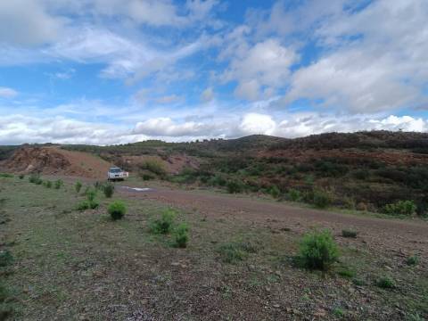 TERRENO COM 59.520 M2 - COM POSSIBILIDADE DE CONSTRUIR - MORADIA - TURISMO - BOTELHAS EM CASTRO MARIM - ALGARVE