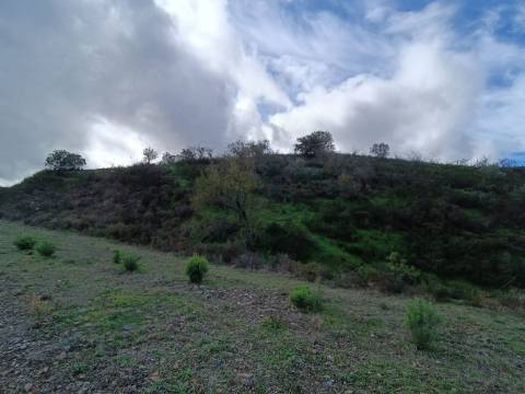 TERRENO COM 59.520 M2 - COM POSSIBILIDADE DE CONSTRUIR - MORADIA - TURISMO - BOTELHAS EM CASTRO MARIM - ALGARVE