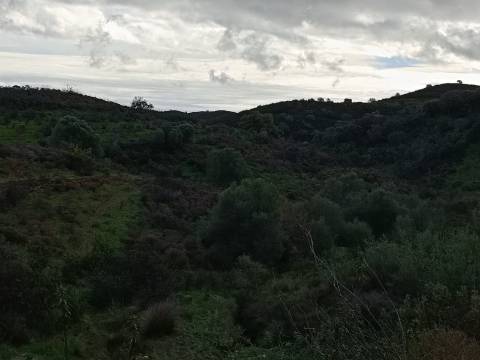 TERRENO COM 59.520 M2 - COM POSSIBILIDADE DE CONSTRUIR - MORADIA - TURISMO - BOTELHAS EM CASTRO MARIM - ALGARVE