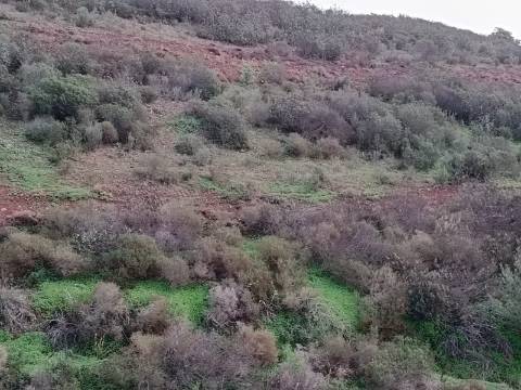 TERRENO COM 59.520 M2 - COM POSSIBILIDADE DE CONSTRUIR - MORADIA - TURISMO - BOTELHAS EM CASTRO MARIM - ALGARVE