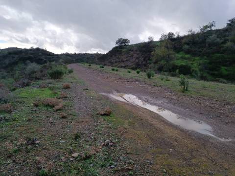 TERRENO COM 59.520 M2 - COM POSSIBILIDADE DE CONSTRUIR - MORADIA - TURISMO - BOTELHAS EM CASTRO MARIM - ALGARVE