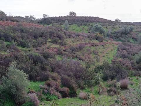 TERRENO COM 59.520 M2 - COM POSSIBILIDADE DE CONSTRUIR - MORADIA - TURISMO - BOTELHAS EM CASTRO MARIM - ALGARVE