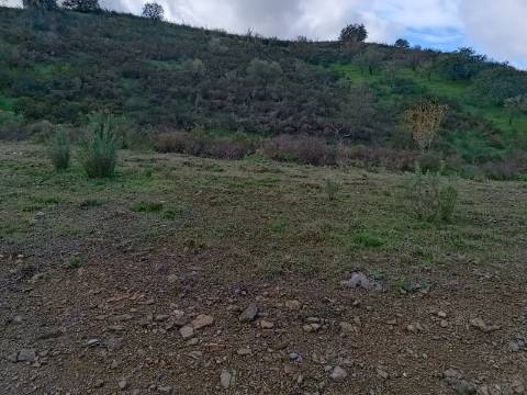 TERRENO COM 59.520 M2 - COM POSSIBILIDADE DE CONSTRUIR - MORADIA - TURISMO - BOTELHAS EM CASTRO MARIM - ALGARVE