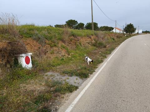 TERRENO COM 34.500 M2 - POSSIBILIDADE DE CONSTRUÇÃO DE ARMAZEM - ÁGUA E LUZ - SENTINELA - CASTRO MARIM - ALGARVE