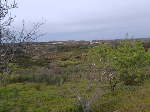 TERRENO COM 34.500 M2 - POSSIBILIDADE DE CONSTRUÇÃO DE ARMAZEM - ÁGUA E LUZ - SENTINELA - CASTRO MARIM - ALGARVE