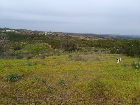 TERRENO COM 34.500 M2 - POSSIBILIDADE DE CONSTRUÇÃO DE ARMAZEM - ÁGUA E LUZ - SENTINELA - CASTRO MARIM - ALGARVE