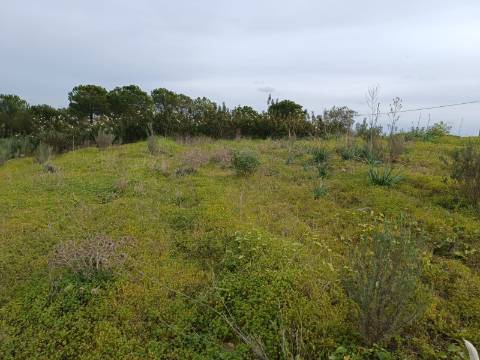 TERRENO COM 34.500 M2 - POSSIBILIDADE DE CONSTRUÇÃO DE ARMAZEM - ÁGUA E LUZ - SENTINELA - CASTRO MARIM - ALGARVE