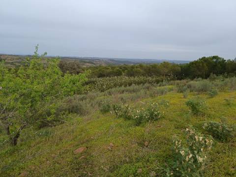 TERRENO COM 34.500 M2 - POSSIBILIDADE DE CONSTRUÇÃO DE ARMAZEM - ÁGUA E LUZ - SENTINELA - CASTRO MARIM - ALGARVE