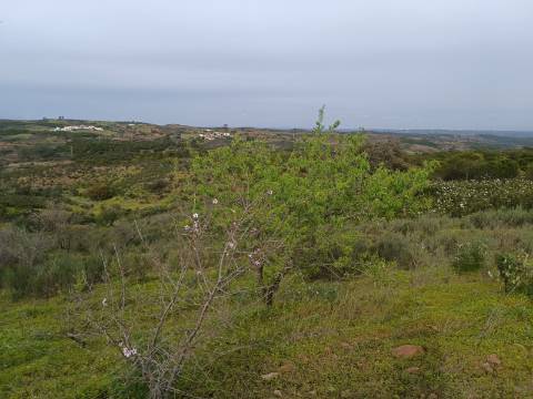 TERRENO COM 34.500 M2 - POSSIBILIDADE DE CONSTRUÇÃO DE ARMAZEM - ÁGUA E LUZ - SENTINELA - CASTRO MARIM - ALGARVE