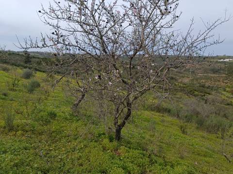 TERRENO COM 34.500 M2 - POSSIBILIDADE DE CONSTRUÇÃO DE ARMAZEM - ÁGUA E LUZ - SENTINELA - CASTRO MARIM - ALGARVE