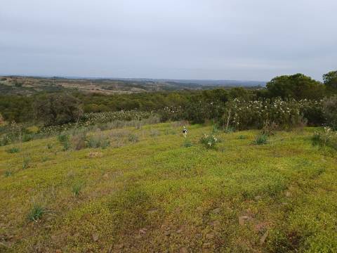 TERRENO COM 34.500 M2 - POSSIBILIDADE DE CONSTRUÇÃO DE ARMAZEM - ÁGUA E LUZ - SENTINELA - CASTRO MARIM - ALGARVE