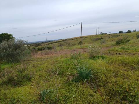 TERRENO COM 34.500 M2 - POSSIBILIDADE DE CONSTRUÇÃO DE ARMAZEM - ÁGUA E LUZ - SENTINELA - CASTRO MARIM - ALGARVE