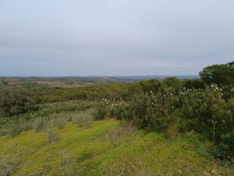 TERRENO COM 34.500 M2 - POSSIBILIDADE DE CONSTRUÇÃO DE ARMAZEM - ÁGUA E LUZ - SENTINELA - CASTRO MARIM - ALGARVE