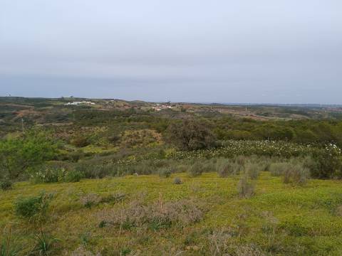 TERRENO COM 34.500 M2 - POSSIBILIDADE DE CONSTRUÇÃO DE ARMAZEM - ÁGUA E LUZ - SENTINELA - CASTRO MARIM - ALGARVE