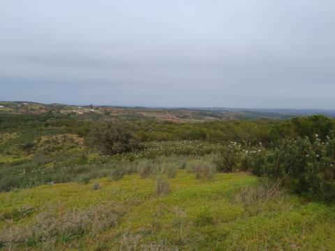 TERRENO COM 34.500 M2 - POSSIBILIDADE DE CONSTRUÇÃO DE ARMAZEM - ÁGUA E LUZ - SENTINELA - CASTRO MARIM - ALGARVE