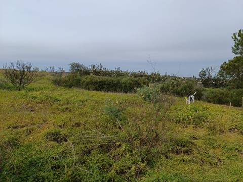 TERRENO COM 34.500 M2 - POSSIBILIDADE DE CONSTRUÇÃO DE ARMAZEM - ÁGUA E LUZ - SENTINELA - CASTRO MARIM - ALGARVE