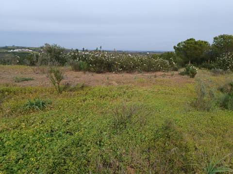 TERRENO COM 34.500 M2 - POSSIBILIDADE DE CONSTRUÇÃO DE ARMAZEM - ÁGUA E LUZ - SENTINELA - CASTRO MARIM - ALGARVE