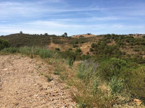 Terreno Rustico em Pisa Barro de Cima