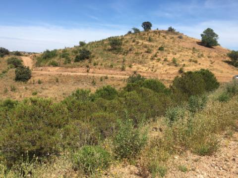 Terreno Rustico em Pisa Barro de Cima