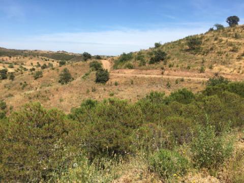 Terreno Rustico em Pisa Barro de Cima