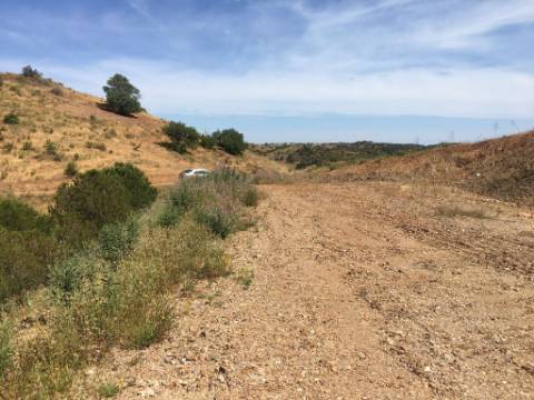 Terreno Rustico em Pisa Barro de Cima