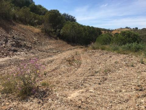 Terreno Rustico em Pisa Barro de Cima