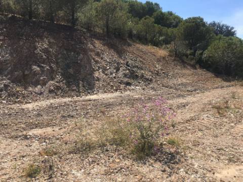 Terreno Rustico em Pisa Barro de Cima