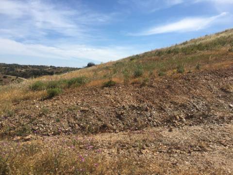 Terreno Rustico em Pisa Barro de Cima