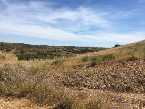 Terreno Rustico em Pisa Barro de Cima