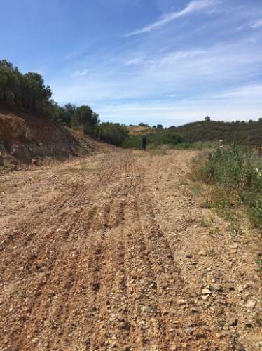 Terreno Rustico em Pisa Barro de Cima