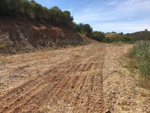 Terreno Rustico em Pisa Barro de Cima